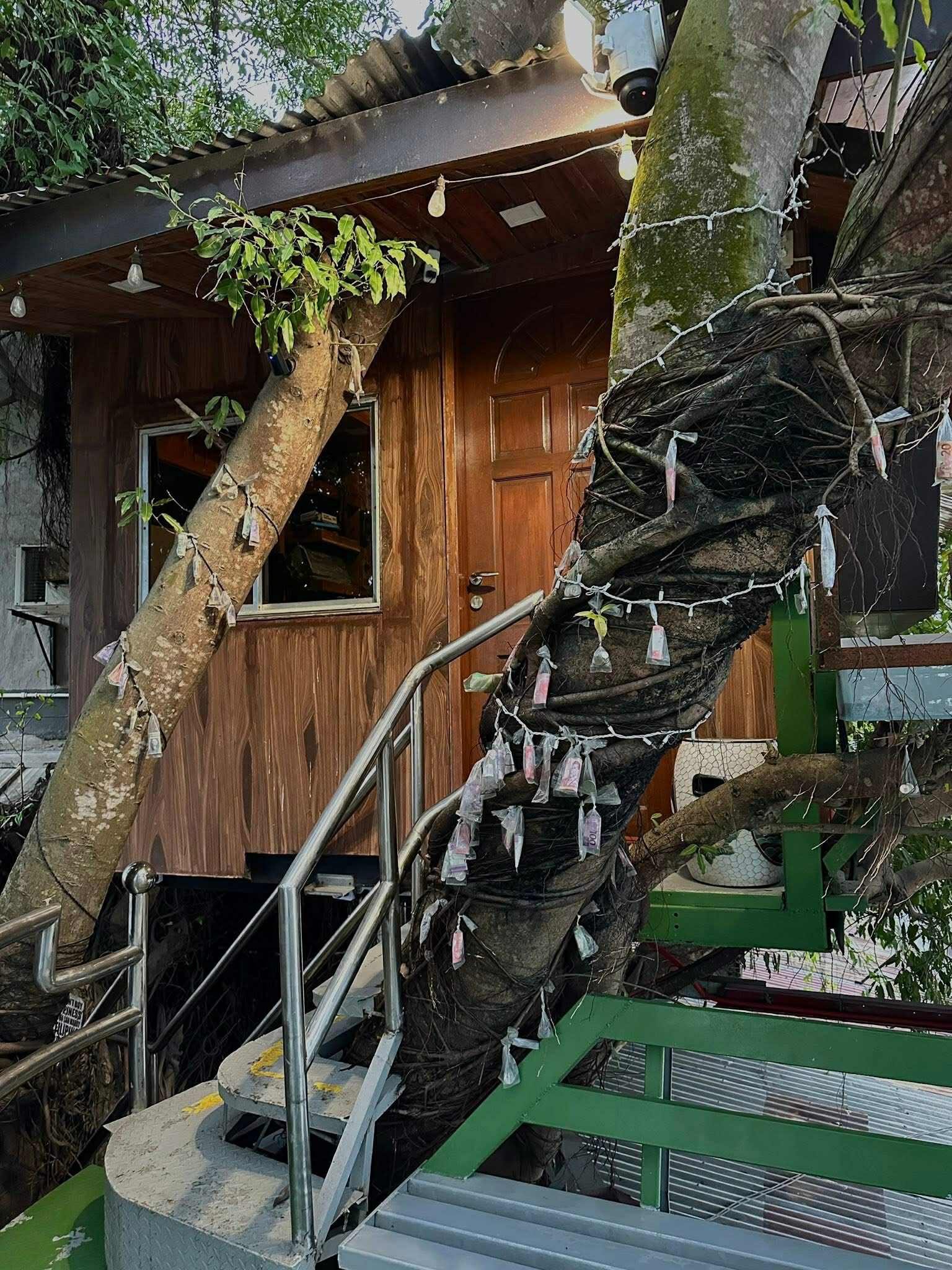 Aria's Burger &amp; Coffee